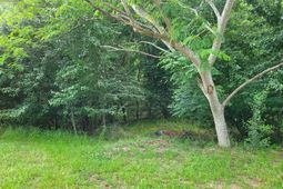 0 River Ridge Road photo 4