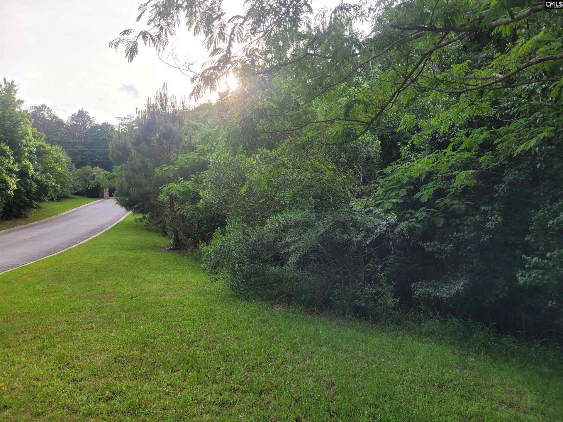 0 River Ridge Road Photo 4