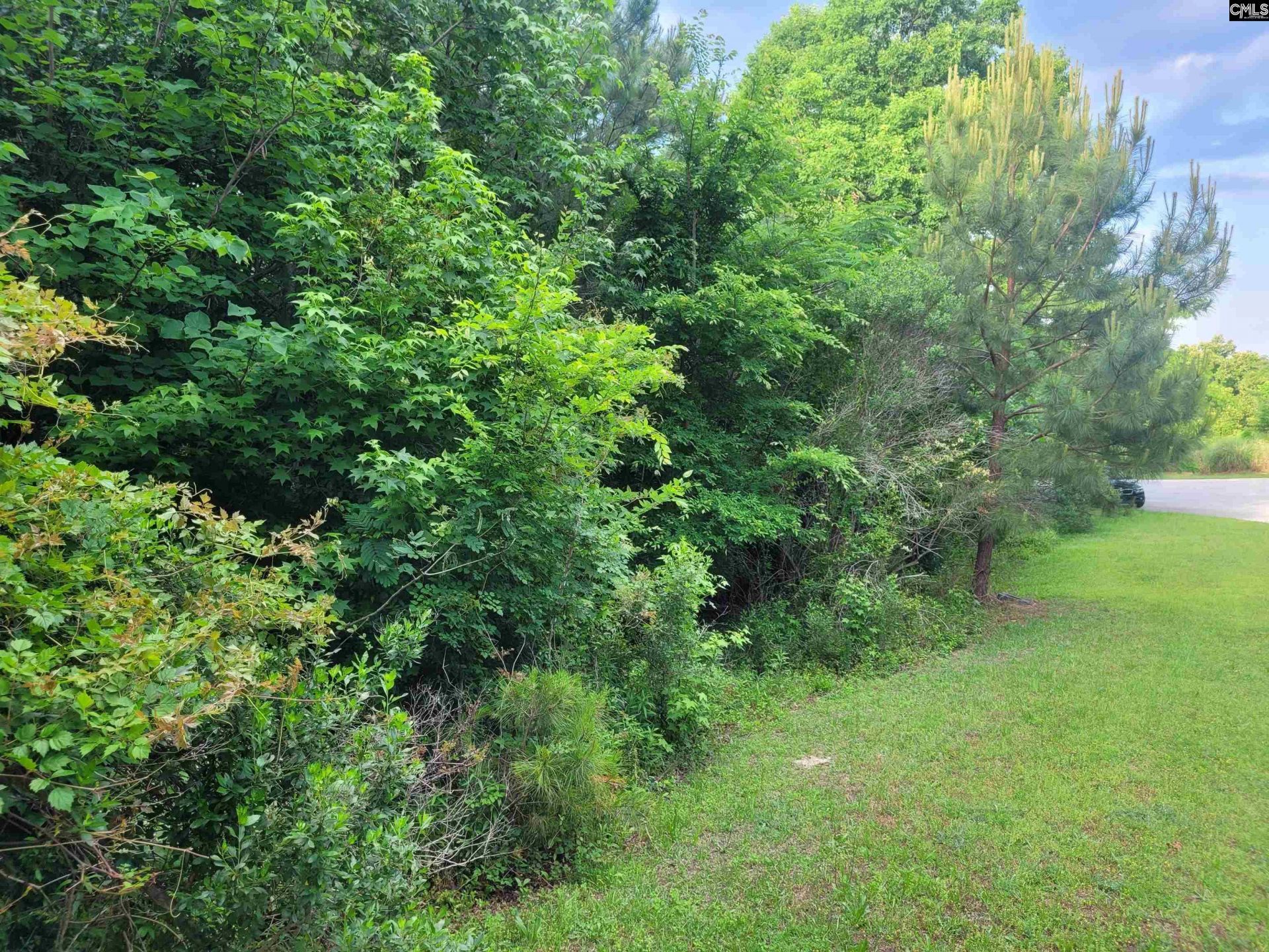 0 River Ridge Road Photo 5