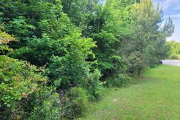 0 River Ridge Road photo 4
