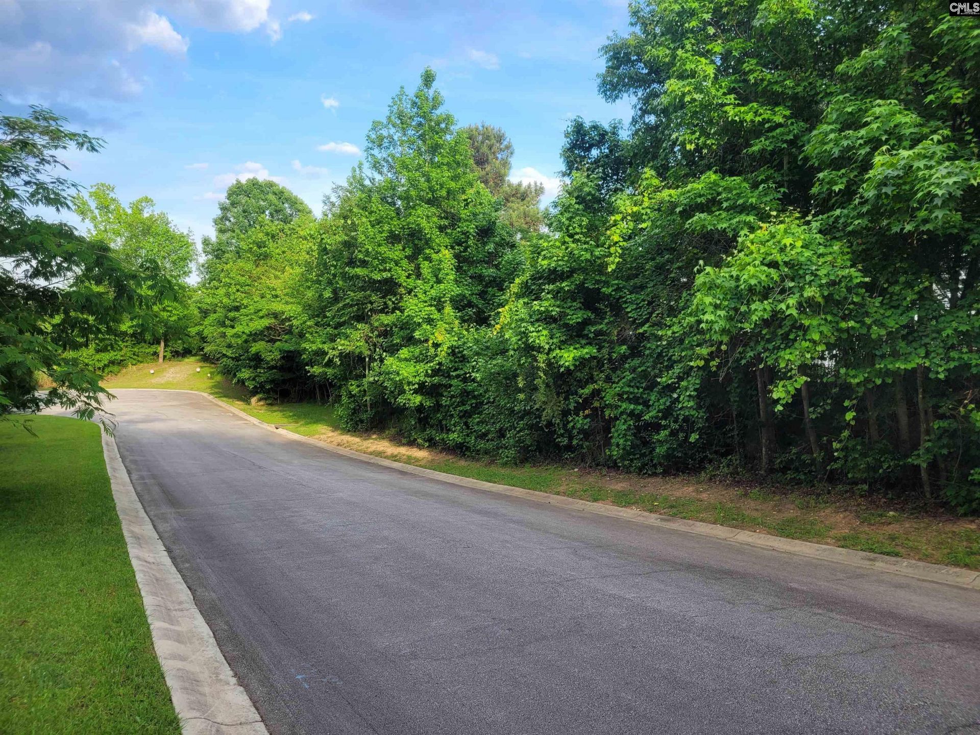 0 River Ridge Road Photo 6