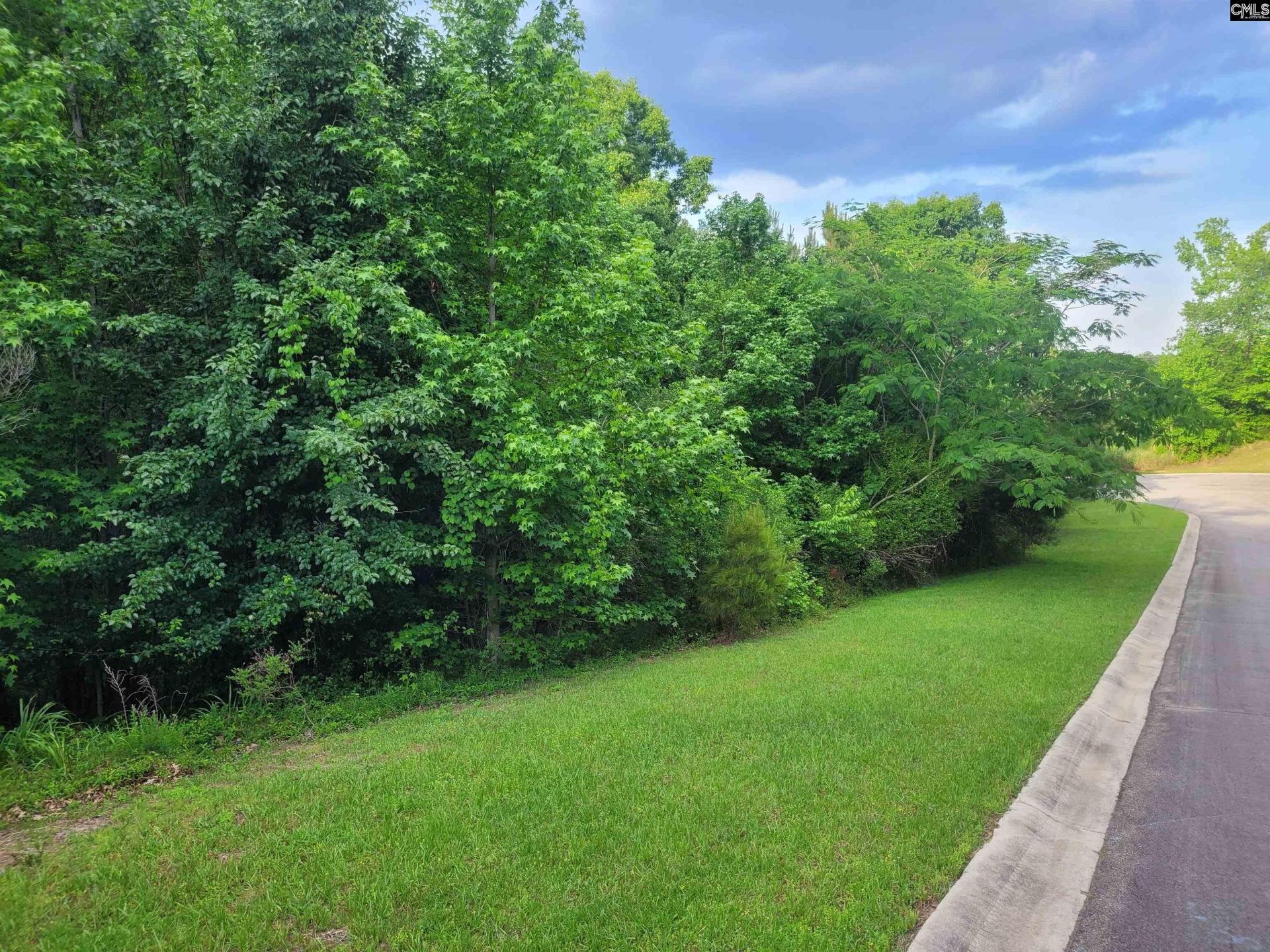 0 River Ridge Road Photo 7