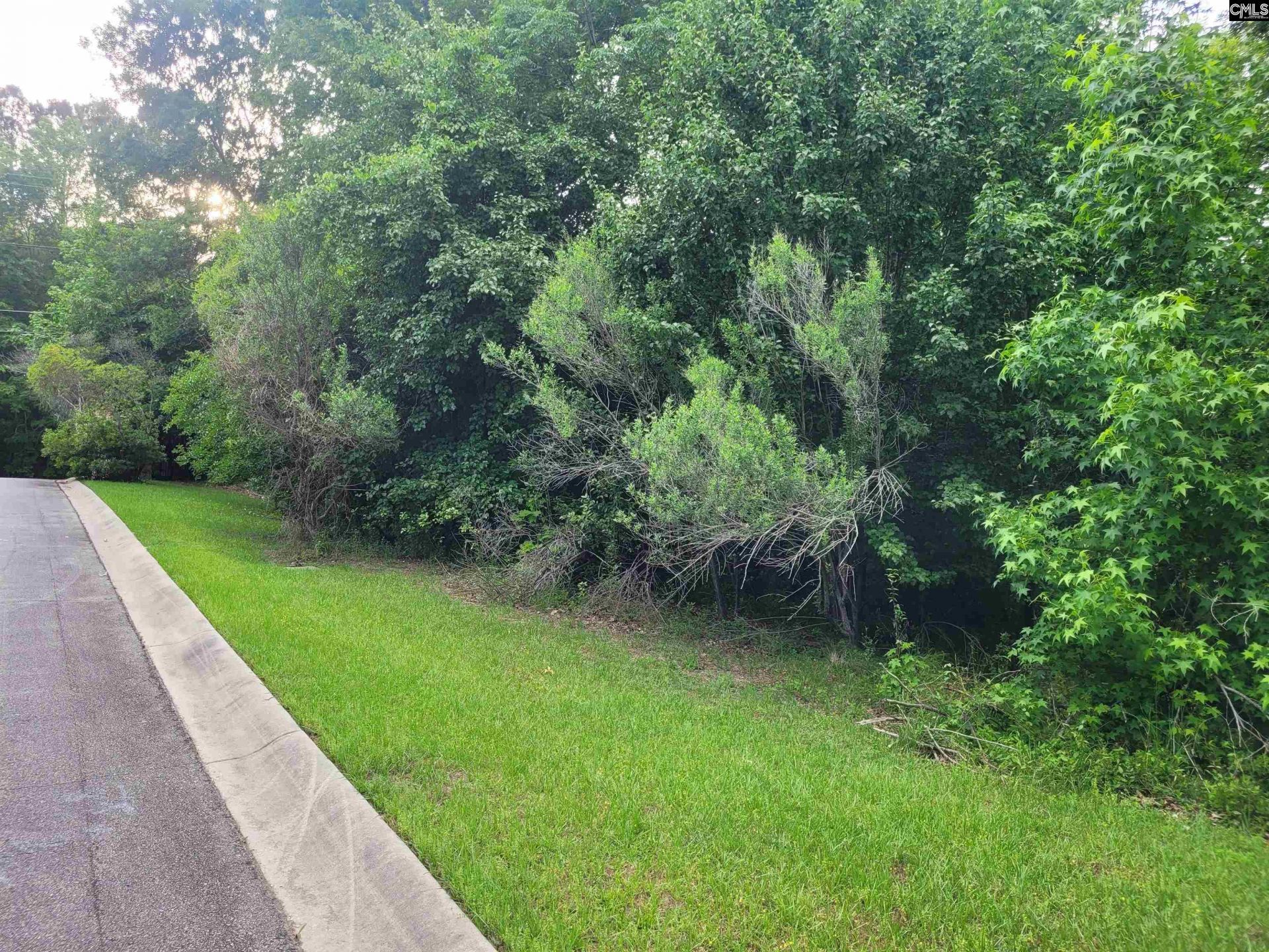 0 River Ridge Road Photo 8