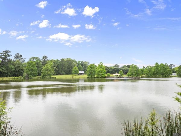 3869 Turner Rd, Ethel, LA 70730