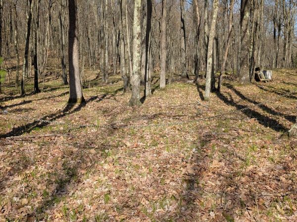 V/L Willow Avenue N, Unit Parcel J, Bitely, MI 49309