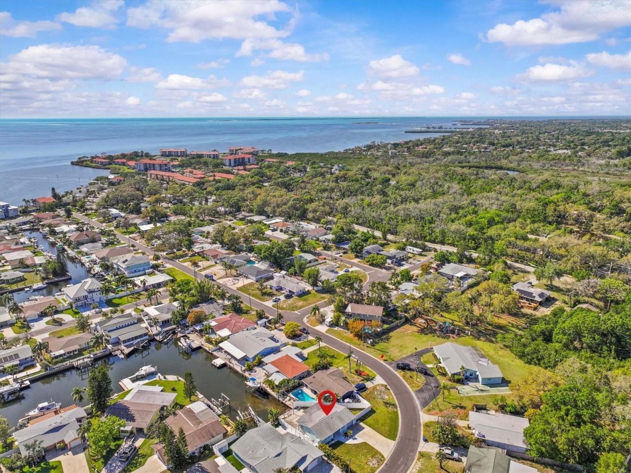 310 Westwinds Drive, Palm Harbor, FL 34683 Photo