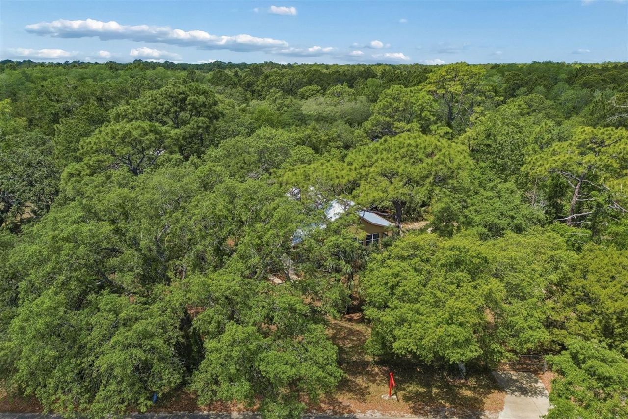 11274 S Riviera Drive , Homosassa, FL 34448 Photo