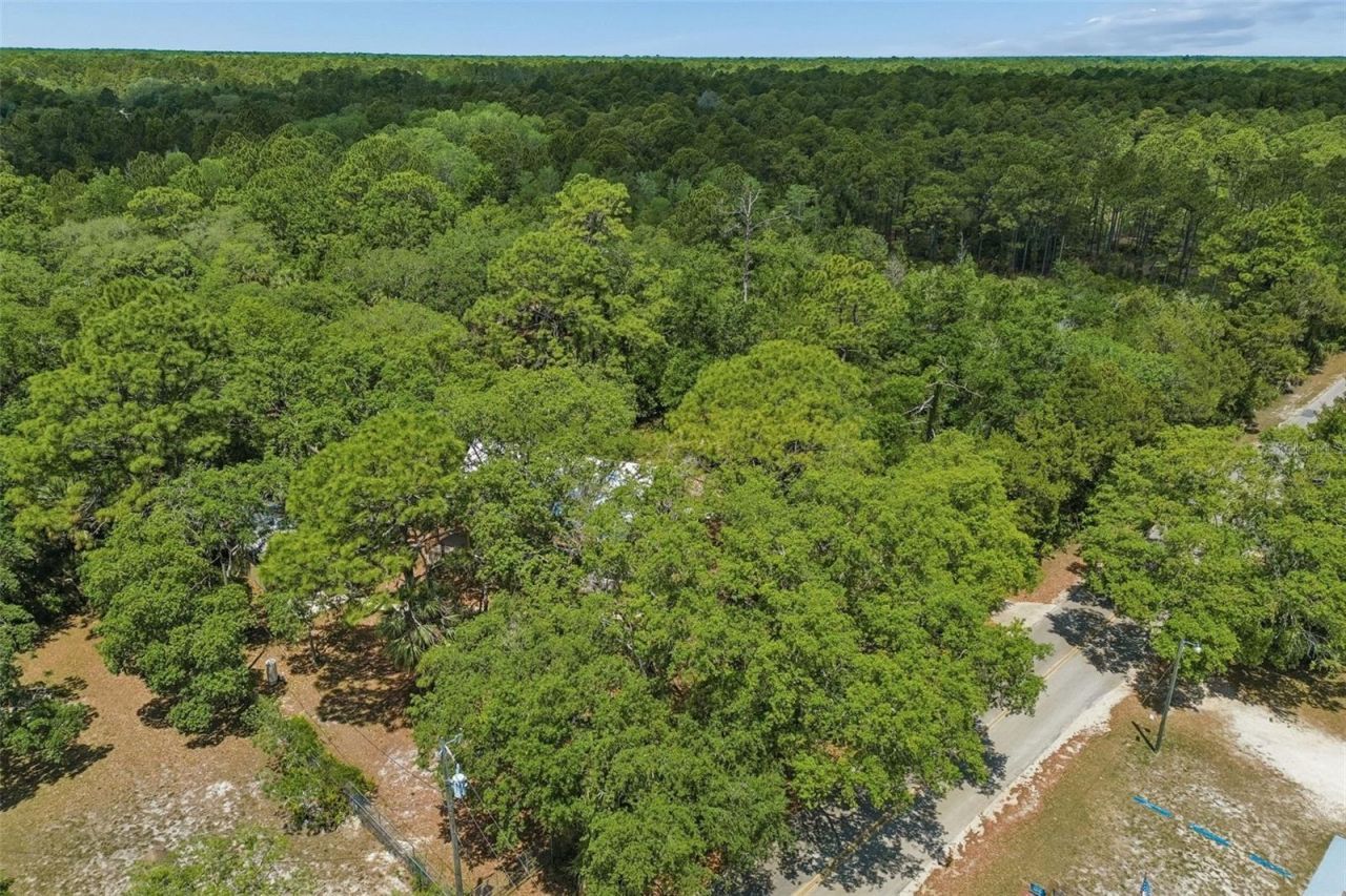 11274 S Riviera Drive , Homosassa, FL 34448 Photo