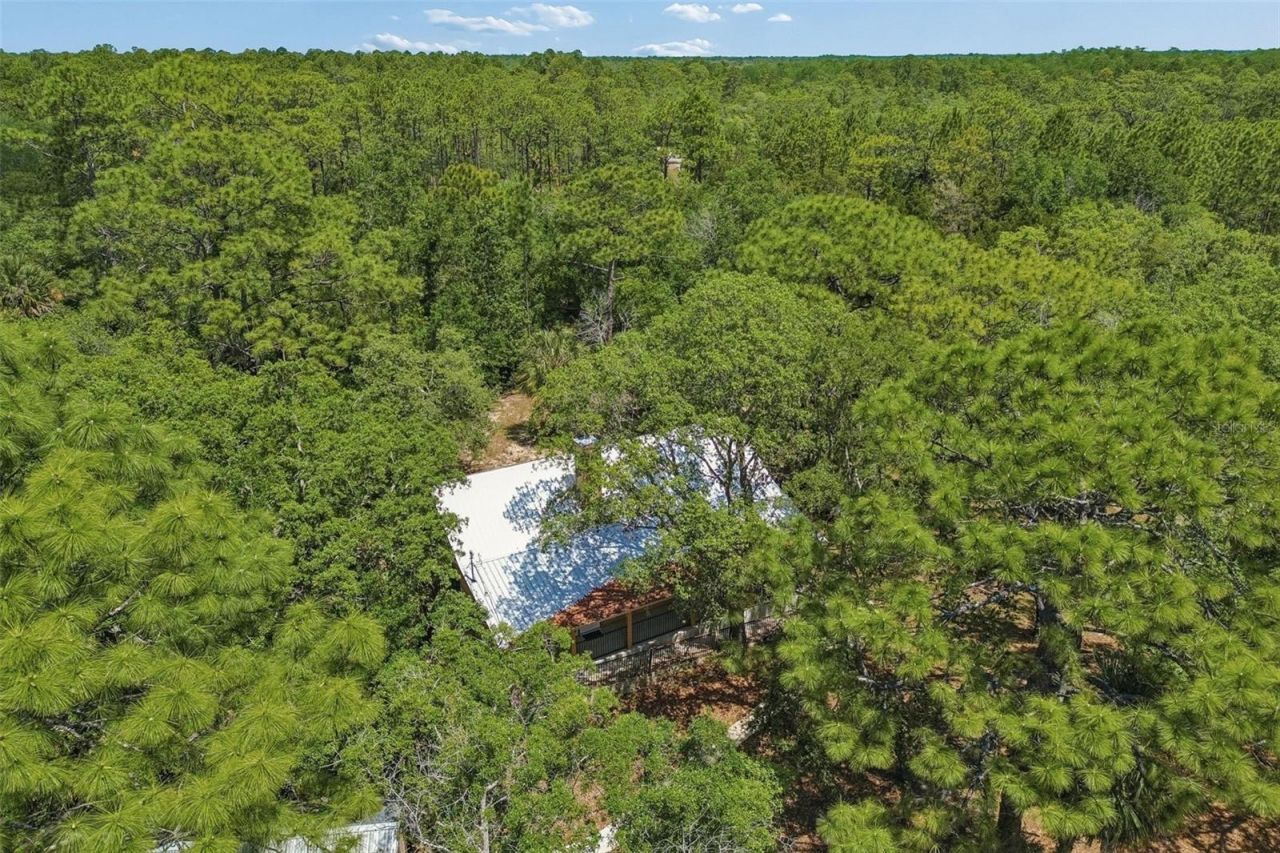 11274 S Riviera Drive , Homosassa, FL 34448 Photo