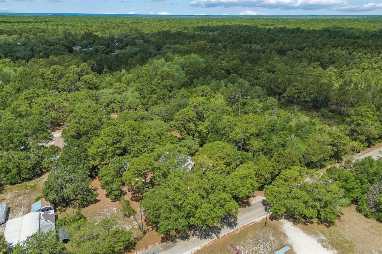 11274 S Riviera Drive , Homosassa, FL 34448 Photo