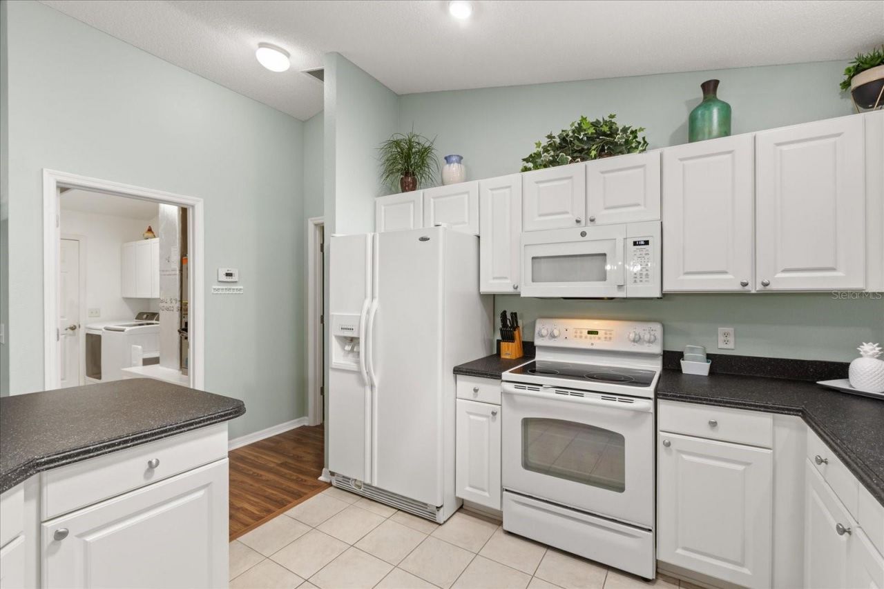 1561 Tallowtree Drive, The Villages, FL 32162 Photo