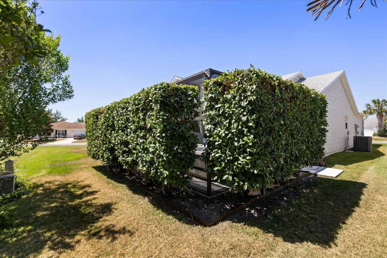 1561 Tallowtree Drive, The Villages, FL 32162 Photo
