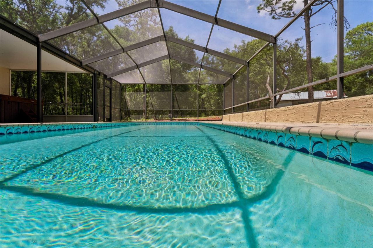 16225 Bonzai Trail , Brooksville, FL 34613 Photo