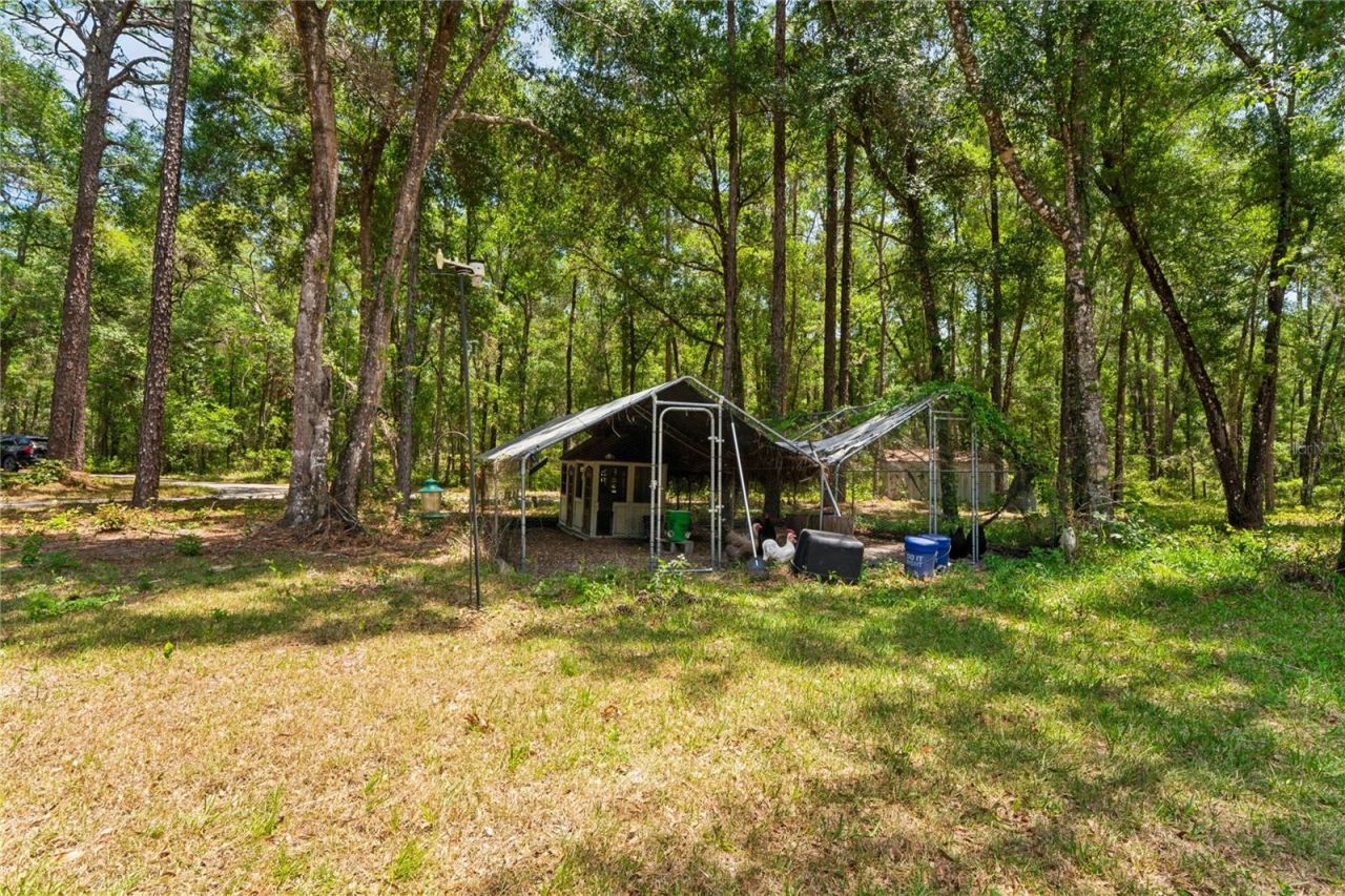 16225 Bonzai Trail , Brooksville, FL 34613 Photo
