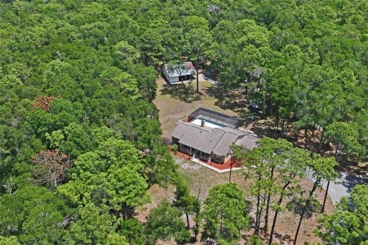 16225 Bonzai Trail , Brooksville, FL 34613 Photo