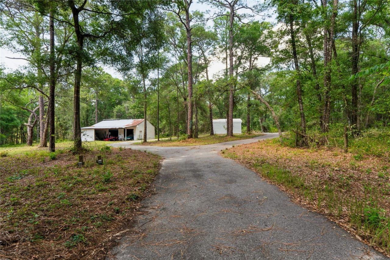 16225 Bonzai Trail , Brooksville, FL 34613 Photo