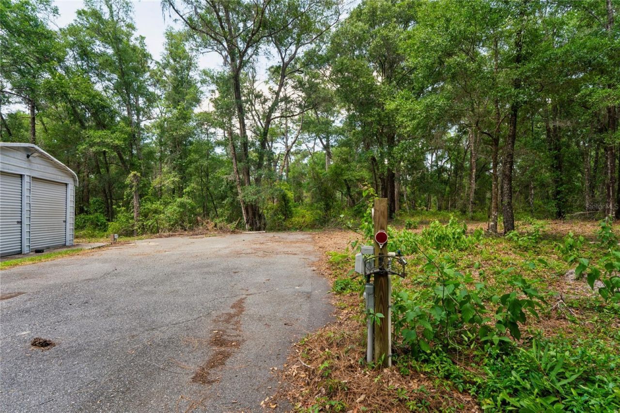 16225 Bonzai Trail , Brooksville, FL 34613 Photo