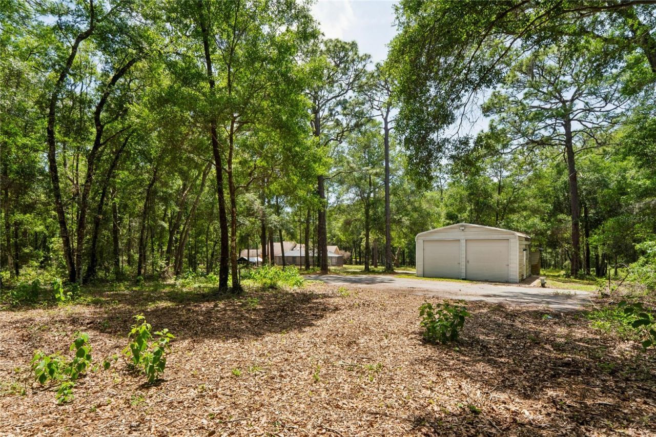 16225 Bonzai Trail , Brooksville, FL 34613 Photo