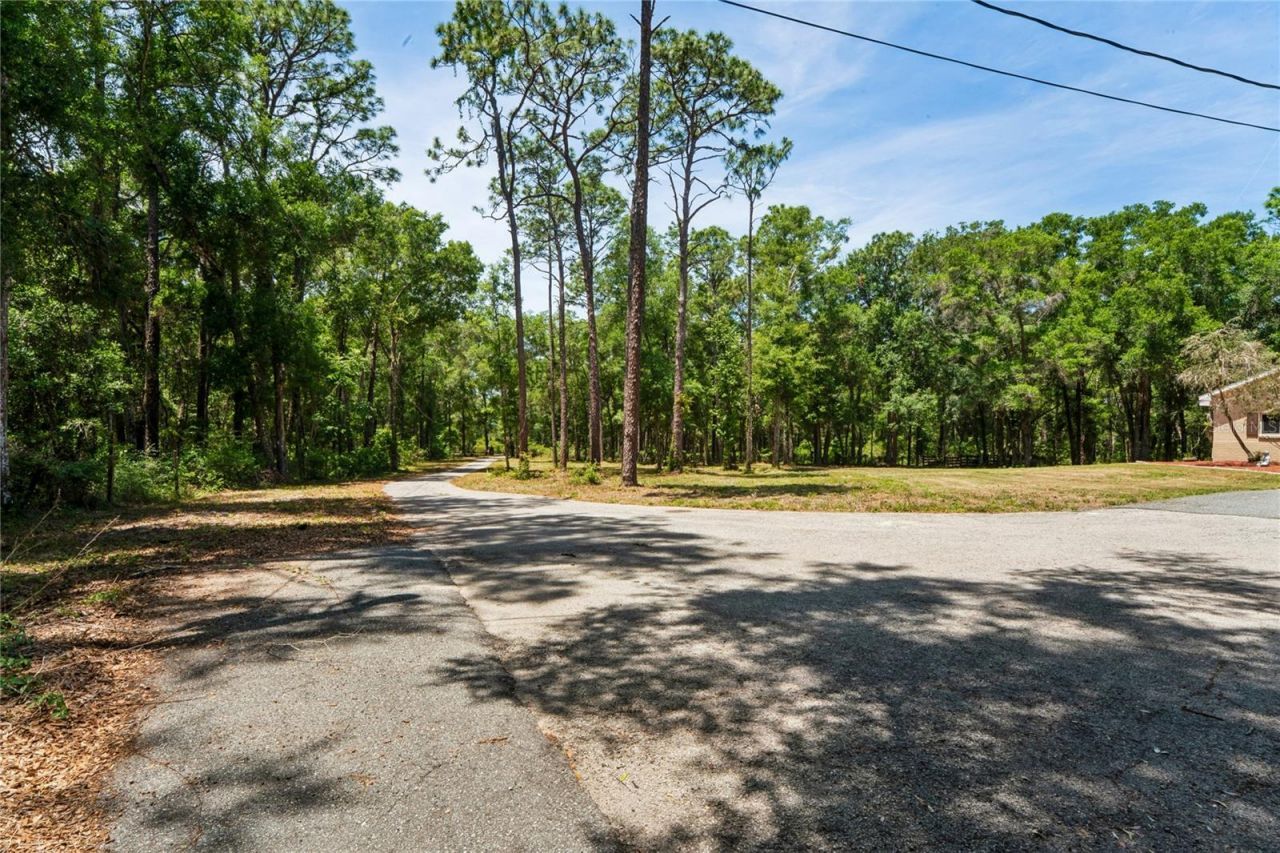16225 Bonzai Trail , Brooksville, FL 34613 Photo