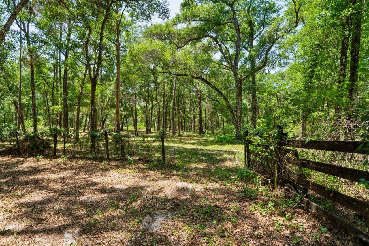 16225 Bonzai Trail , Brooksville, FL 34613 Photo