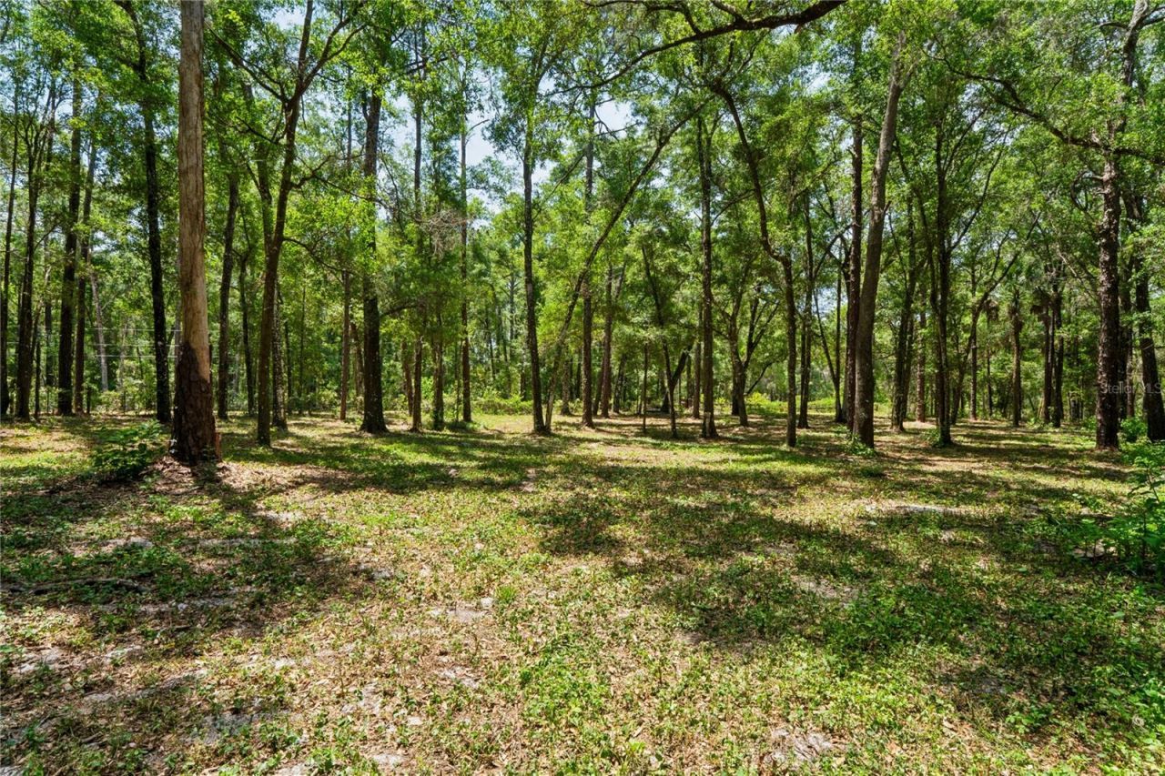16225 Bonzai Trail , Brooksville, FL 34613 Photo