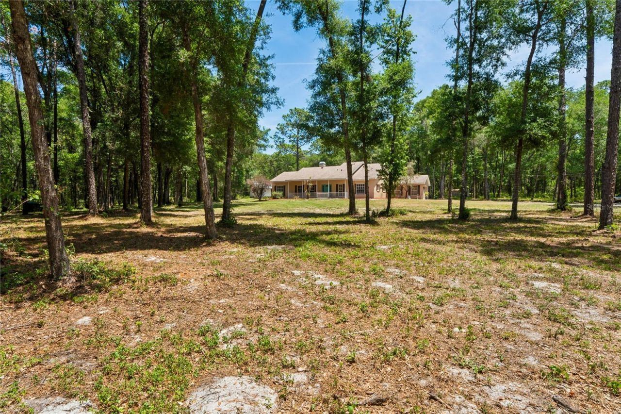 16225 Bonzai Trail , Brooksville, FL 34613 Photo