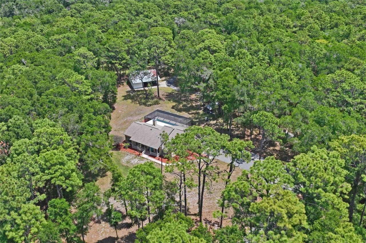 16225 Bonzai Trail , Brooksville, FL 34613 Photo