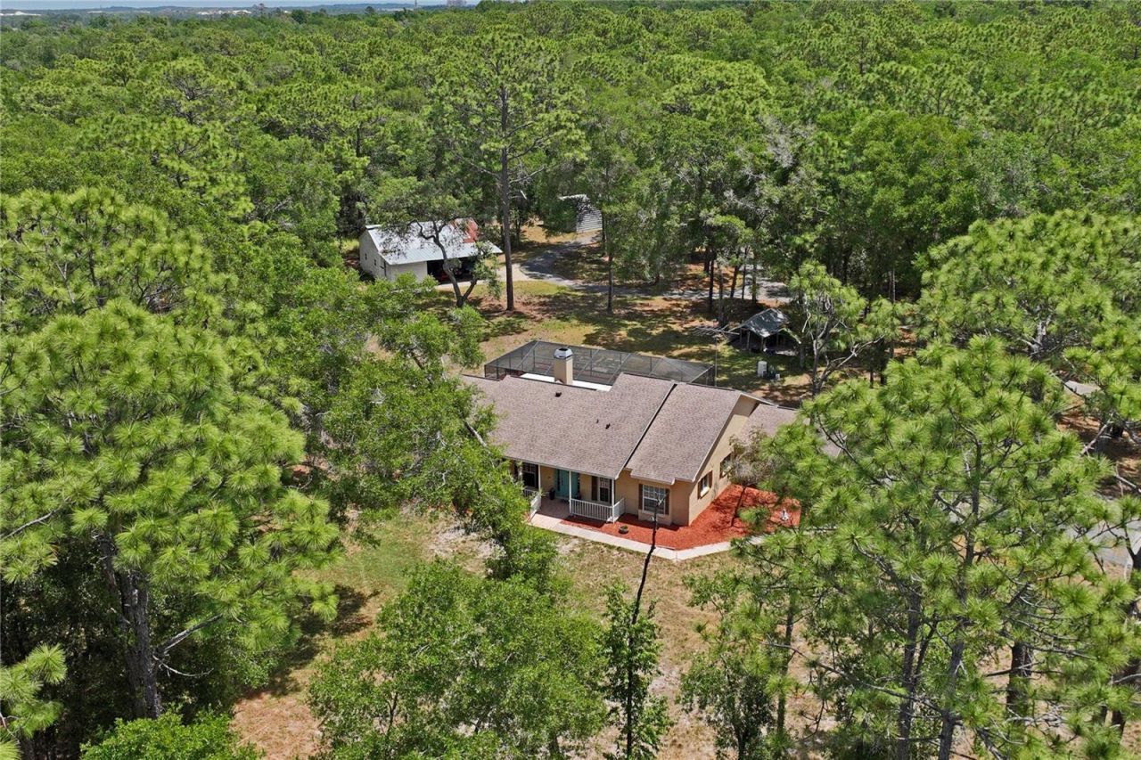 16225 Bonzai Trail , Brooksville, FL 34613 Photo