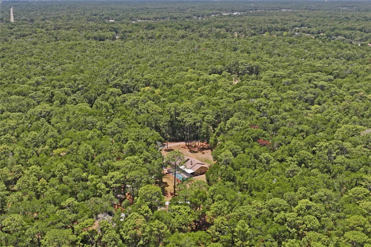 16225 Bonzai Trail , Brooksville, FL 34613 Photo