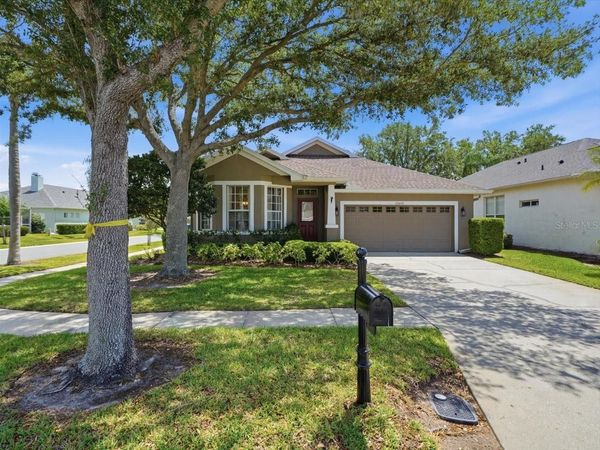 19409 GOLDEN SLIPPER PLACE , LUTZ, FL 33558