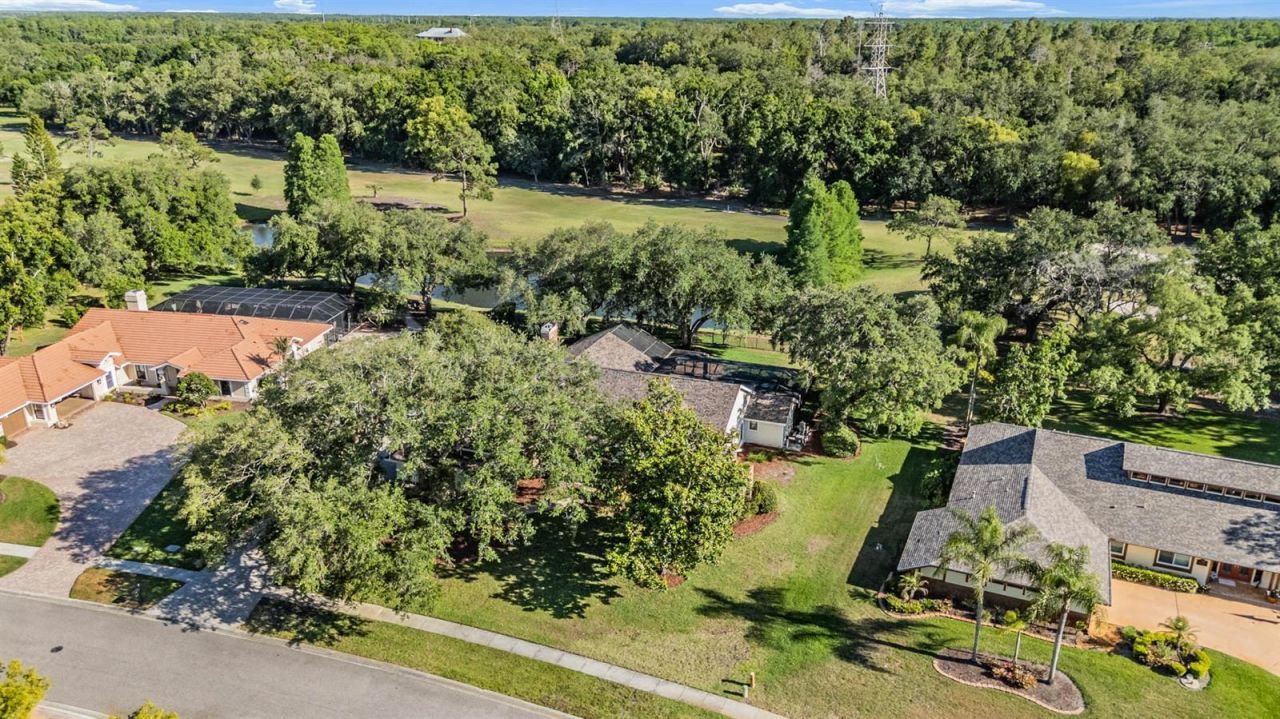 2778 St Andrews Boulevard, Tarpon Springs, FL 34688 Photo