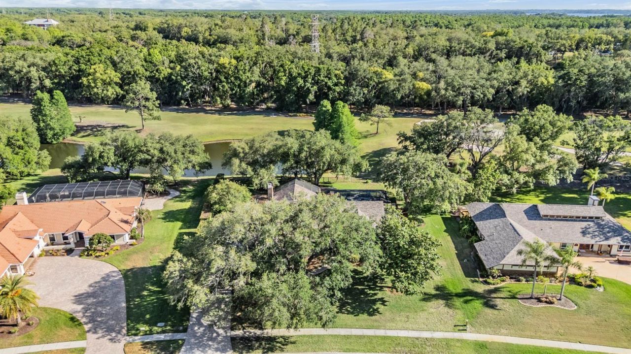 2778 St Andrews Boulevard, Tarpon Springs, FL 34688 Photo