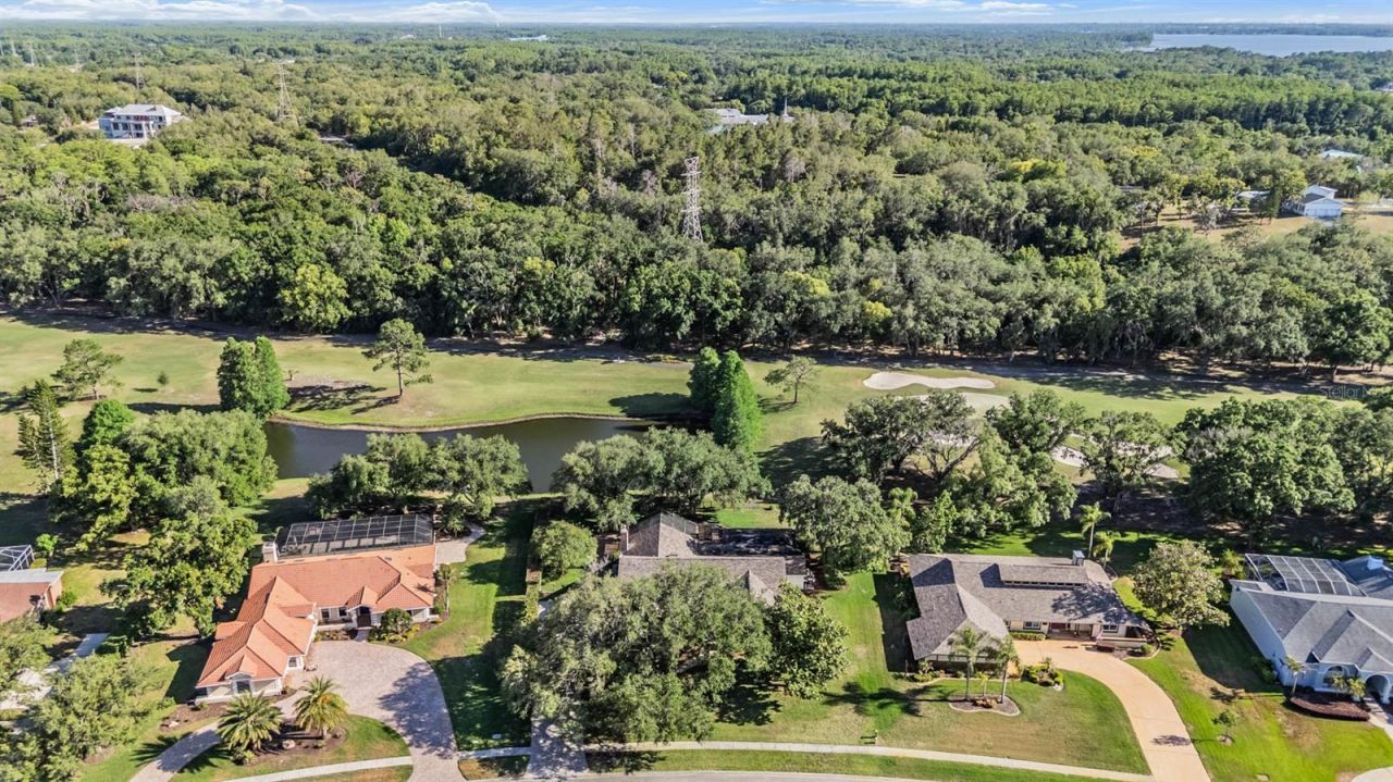 2778 St Andrews Boulevard, Tarpon Springs, FL 34688 Photo