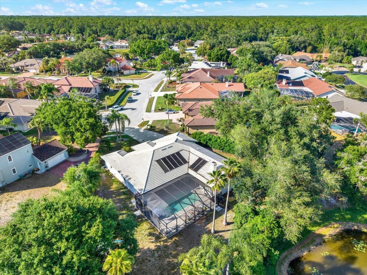 3775 Wellington Pkwy , Palm Harbor, FL 34685 Photo