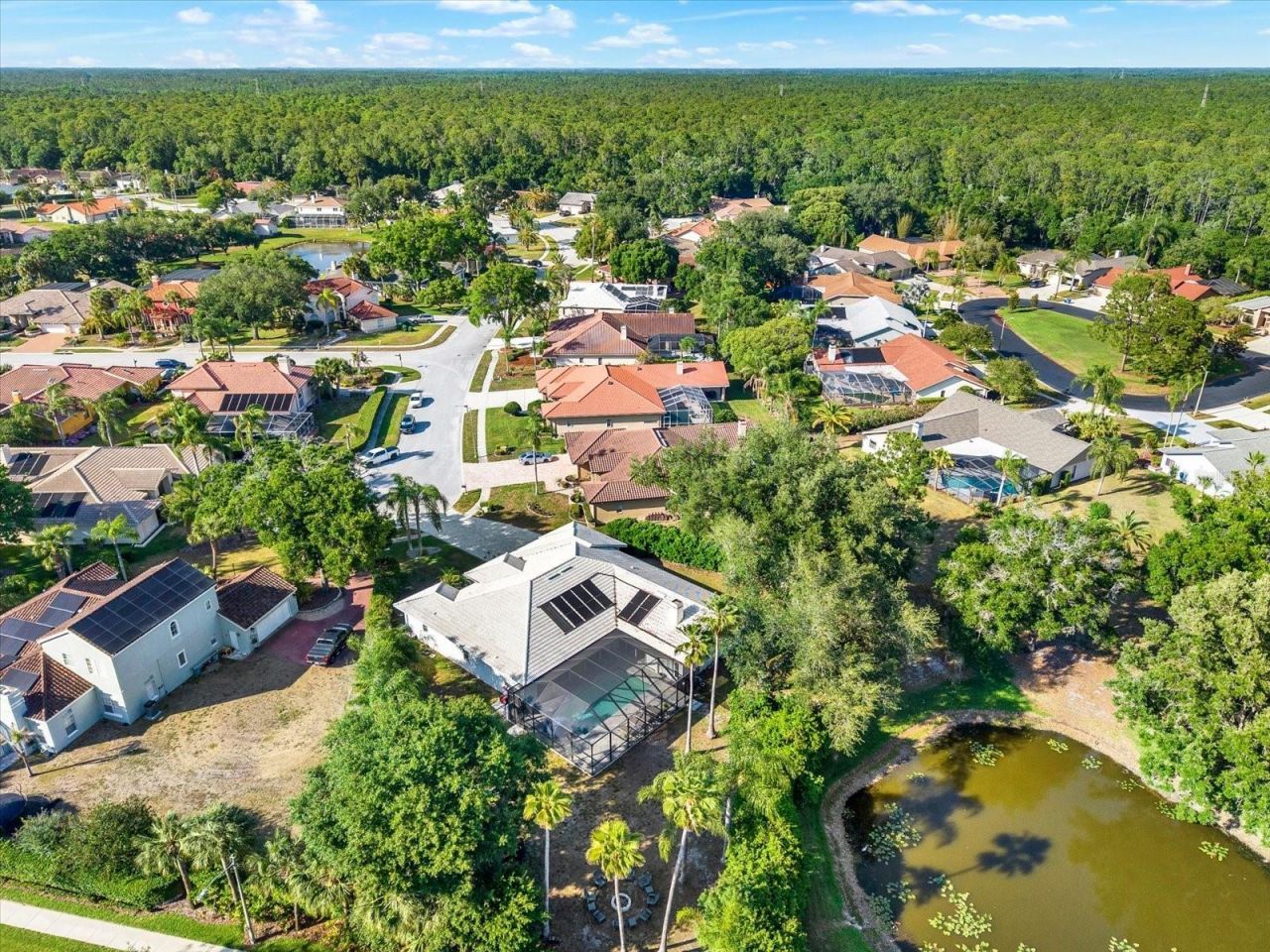 3775 Wellington Pkwy , Palm Harbor, FL 34685 Photo