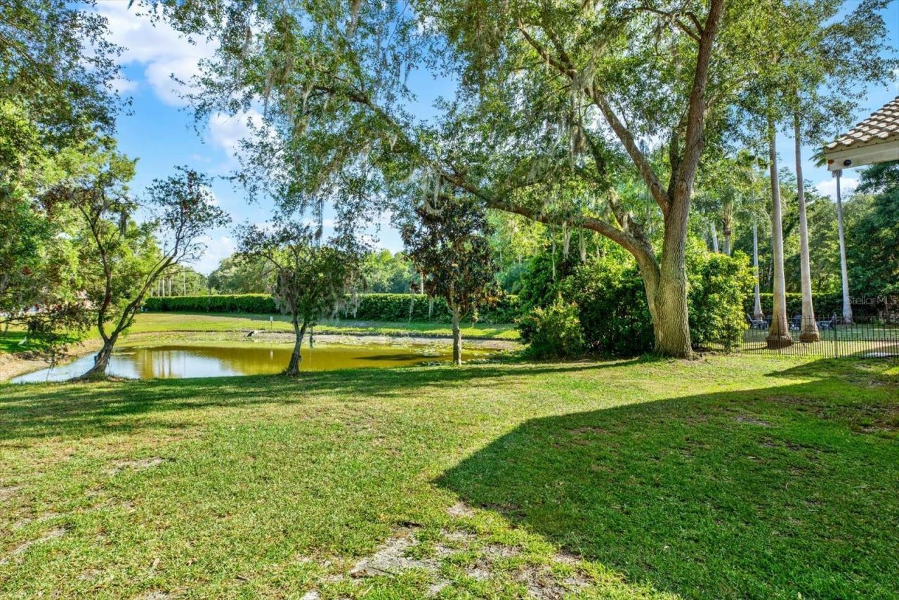 3775 Wellington Pkwy , Palm Harbor, FL 34685 Photo