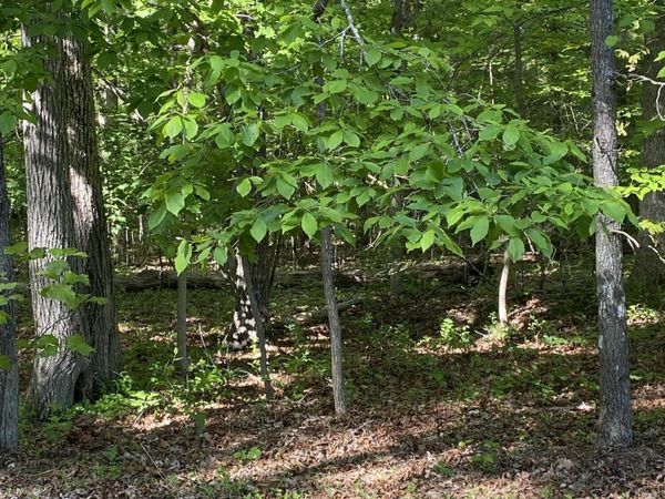 4035 Kila , Crossville, TN 38572