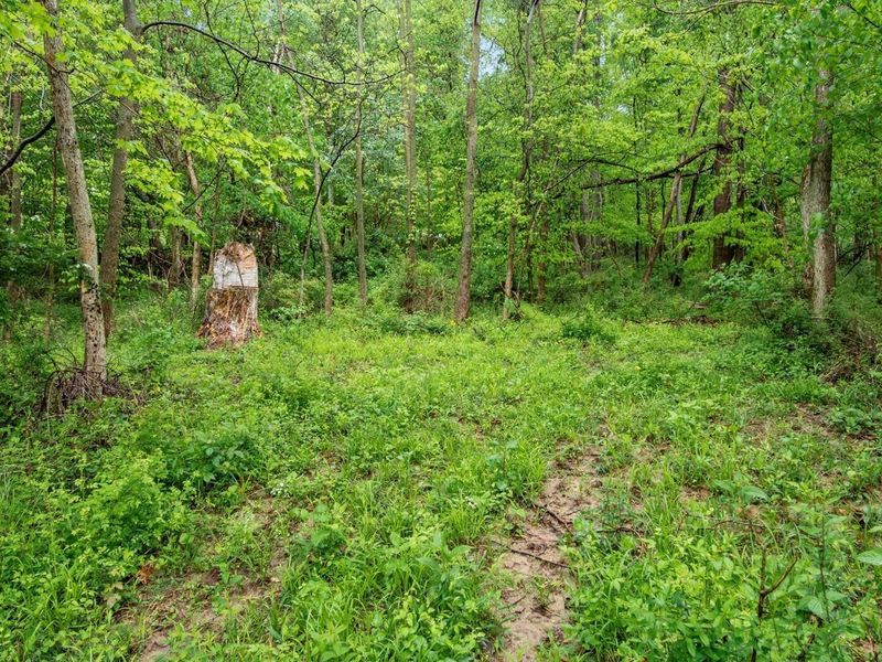 13924 George Ice Rd Road, Glenford, OH 43739 Photo 10