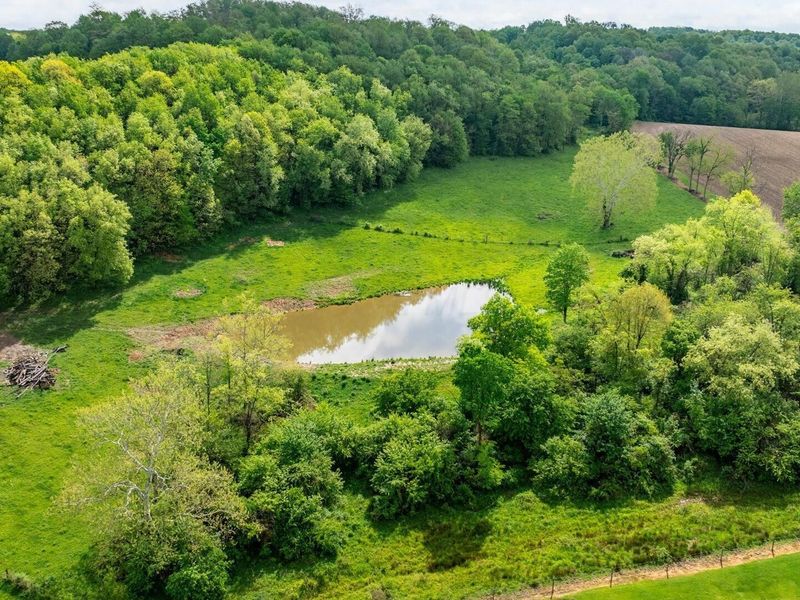 13924 George Ice Rd Road, Glenford, OH 43739 Photo 24