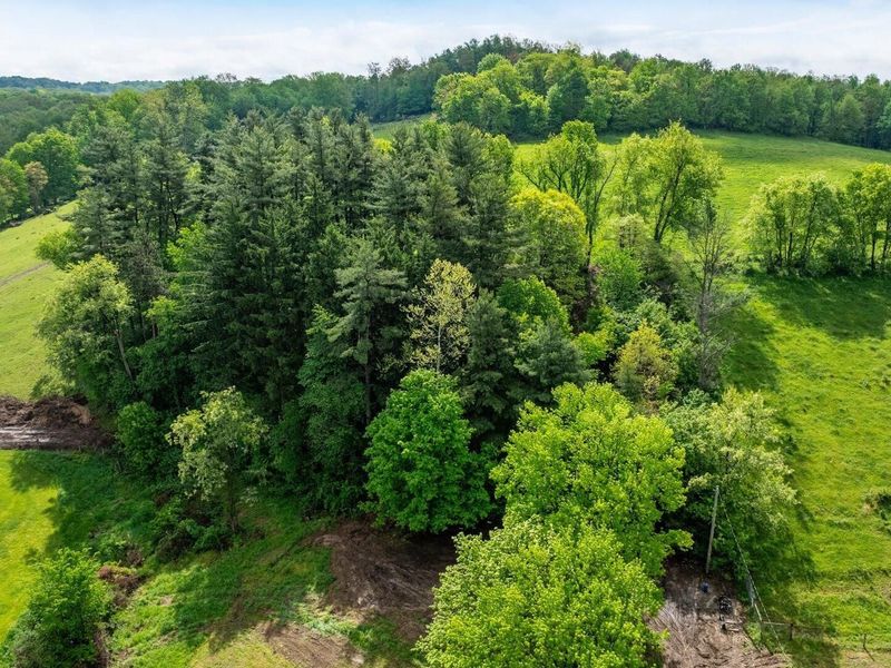 13924 George Ice Rd Road, Glenford, OH 43739 Photo 28
