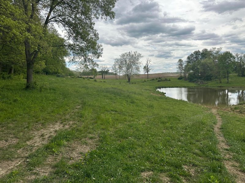 13924 George Ice Rd Road, Glenford, OH 43739 Photo 3