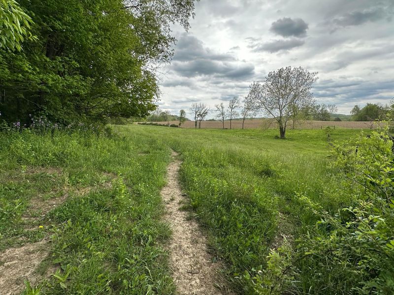 13924 George Ice Rd Road, Glenford, OH 43739 Photo 6