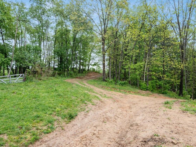 13924 George Ice Rd Road, Glenford, OH 43739 Photo 6