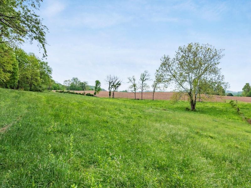 13924 George Ice Rd Road, Glenford, OH 43739 Photo 9