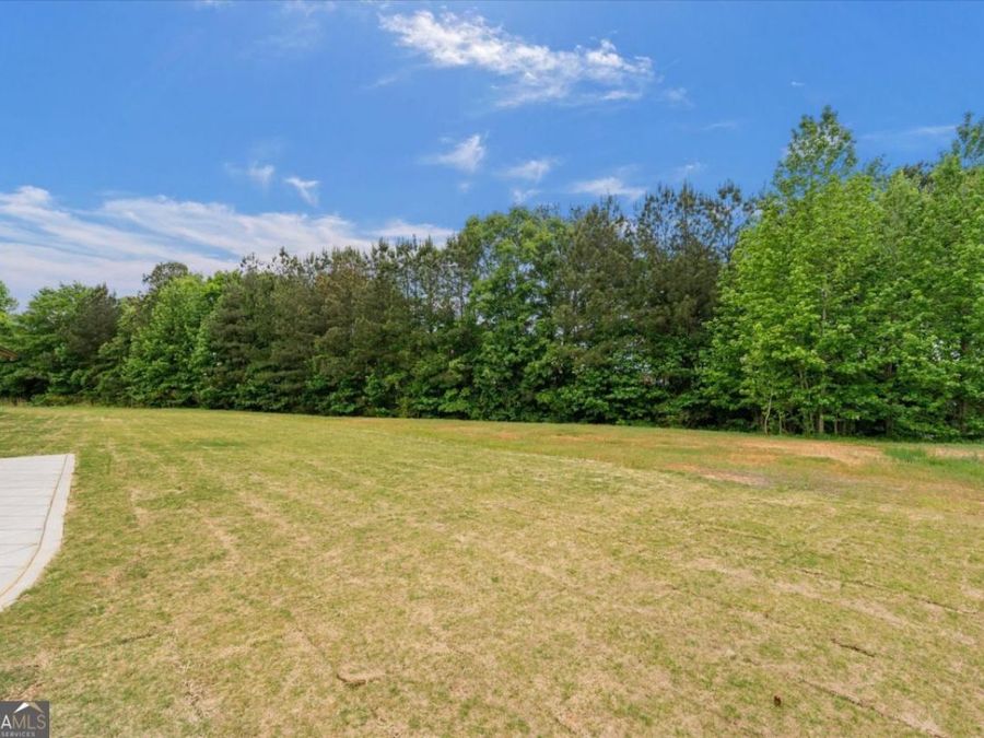 Property Image 58