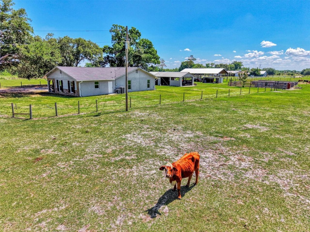 10433 SW Jernigan Street , Arcadia, FL 34269 Photo