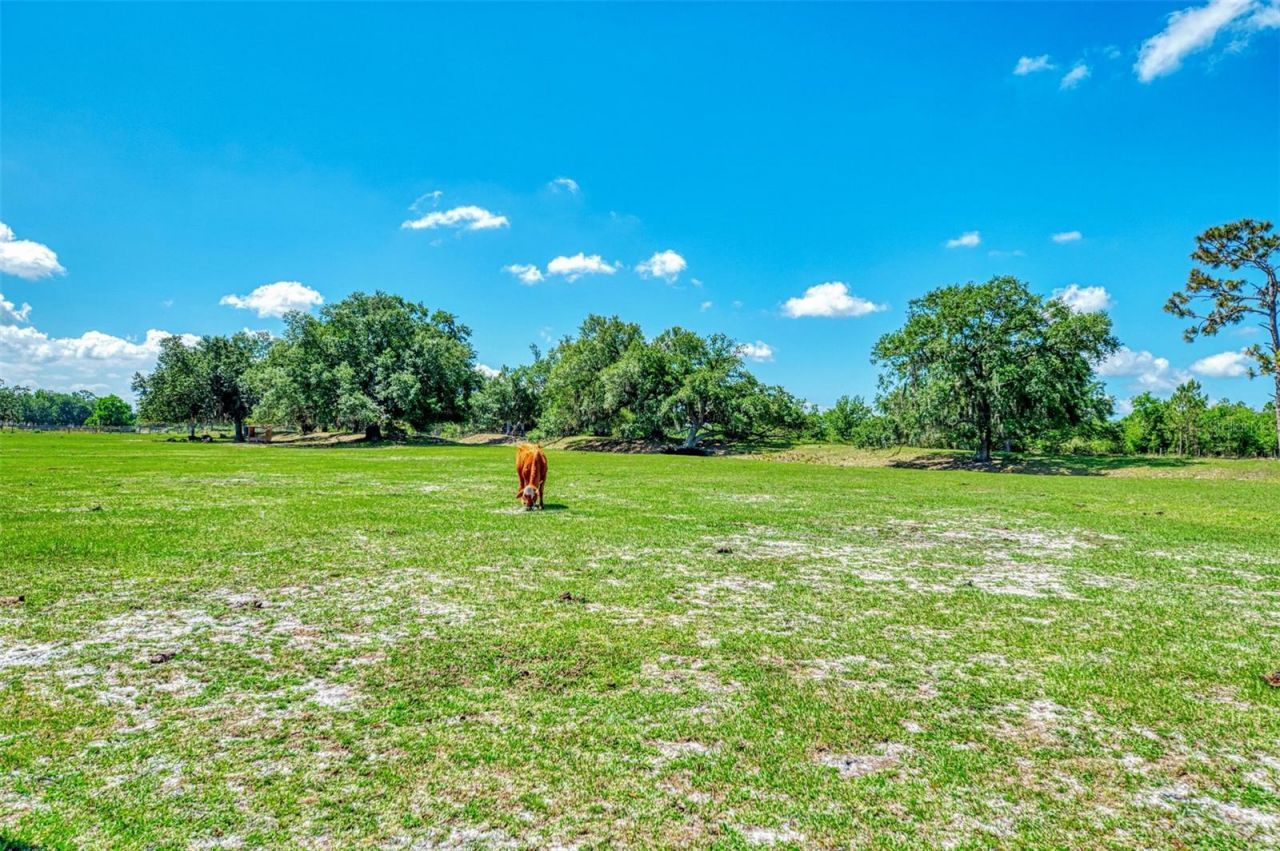 10433 SW Jernigan Street , Arcadia, FL 34269 Photo