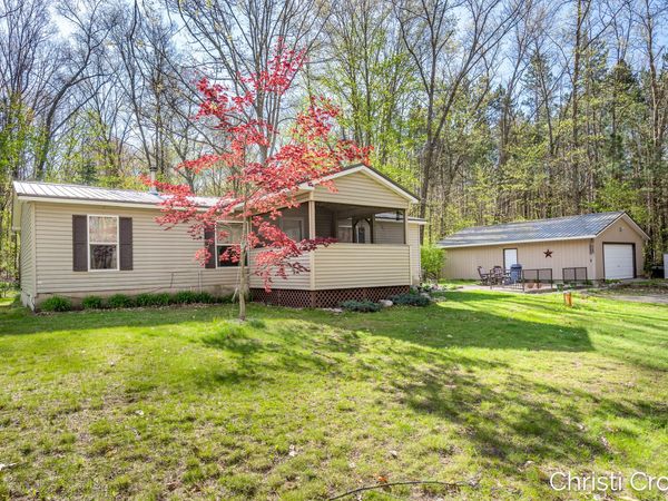 22475 Wildflower Drive, Pierson, MI 49339