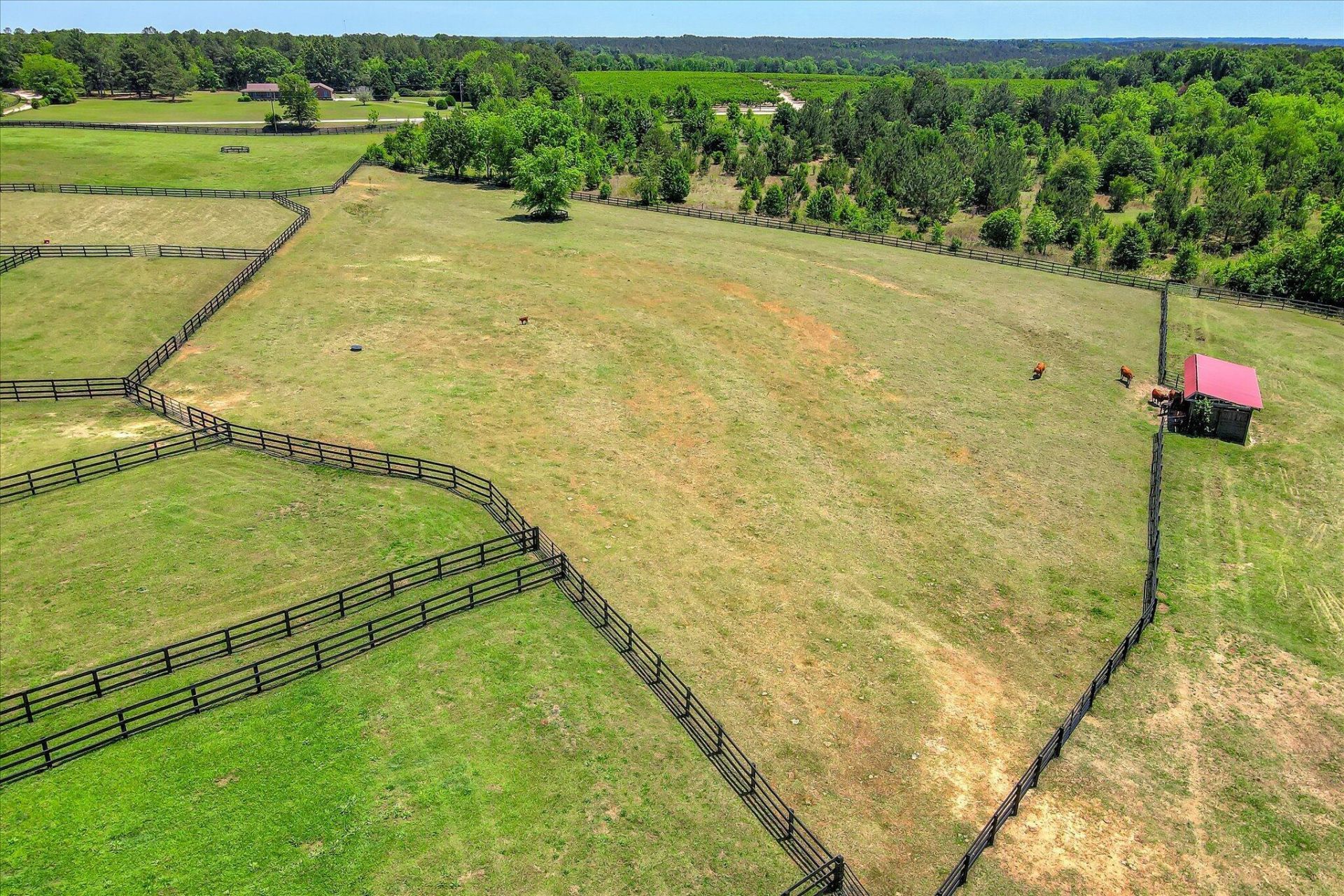 929 Airport Road Photo 13
