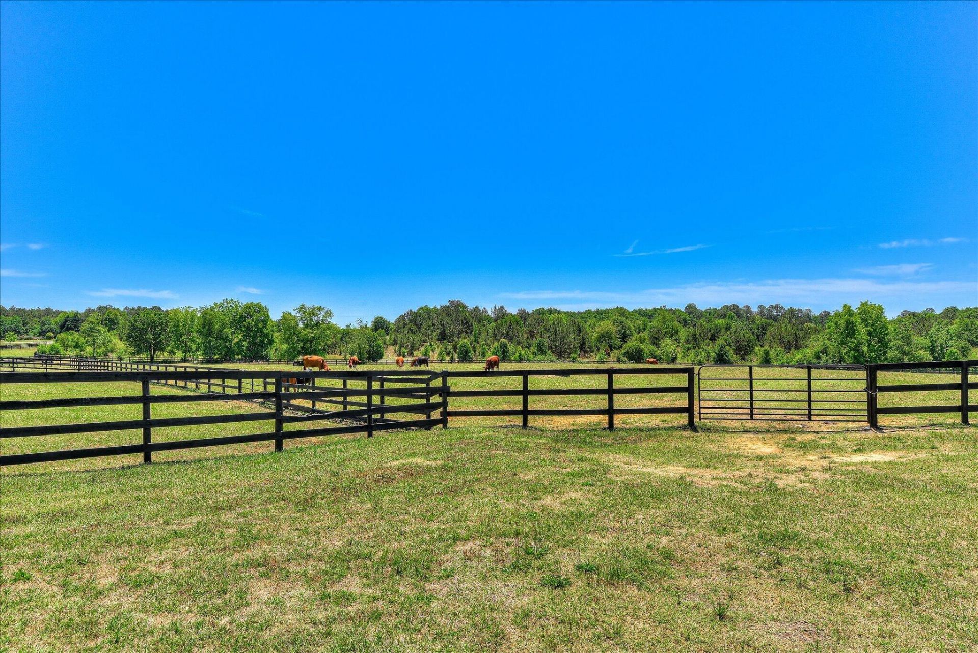 929 Airport Road Photo 75